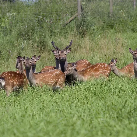 Otel Sorup Herregaard 4*